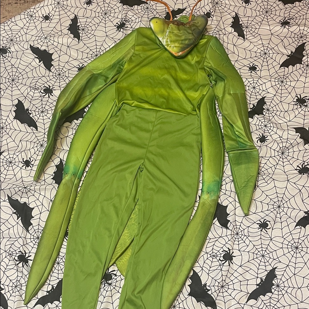 Praying mantis costume